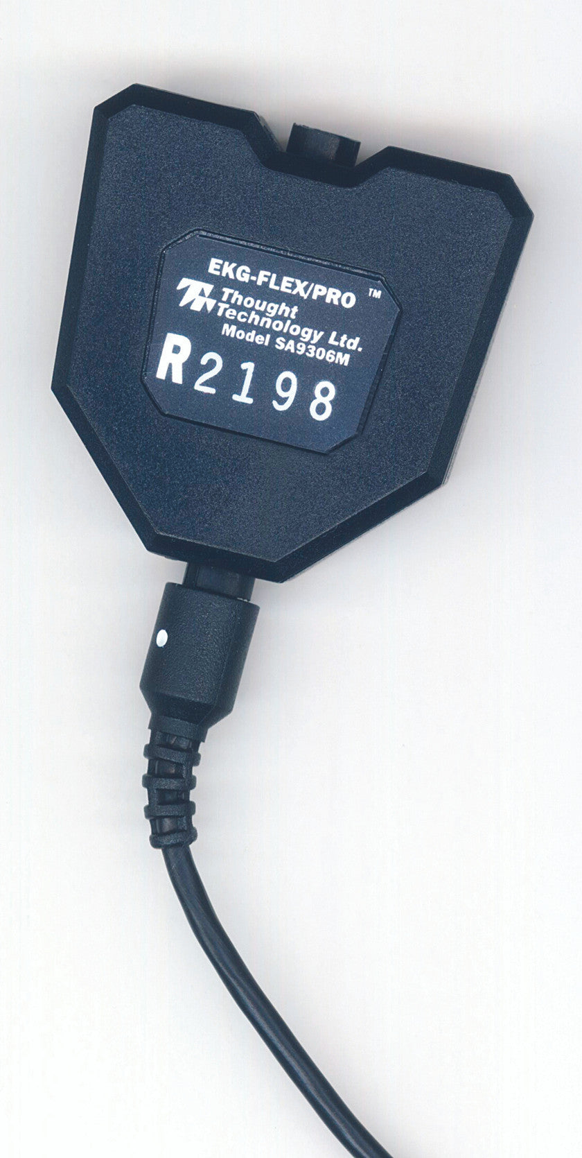Neurofeedback Expert System