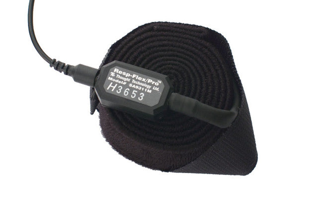 Neurofeedback Expert System